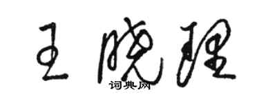 駱恆光王曉理草書個性簽名怎么寫