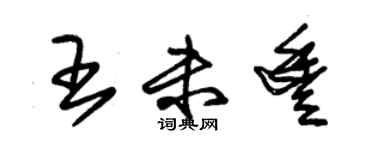 朱錫榮王未豐草書個性簽名怎么寫