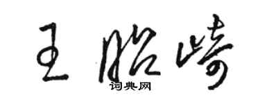 駱恆光王昭崎草書個性簽名怎么寫