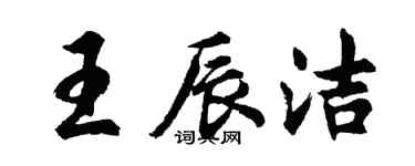 胡問遂王辰潔行書個性簽名怎么寫