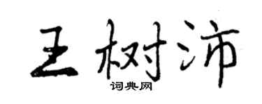 曾慶福王樹沛行書個性簽名怎么寫