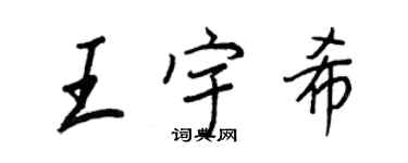 王正良王宇希行書個性簽名怎么寫