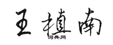 駱恆光王植南行書個性簽名怎么寫