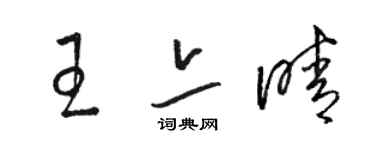 駱恆光王亦晴草書個性簽名怎么寫