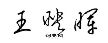 梁錦英王映暉草書個性簽名怎么寫