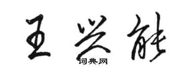 駱恆光王興能行書個性簽名怎么寫