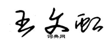 朱錫榮王文虹草書個性簽名怎么寫