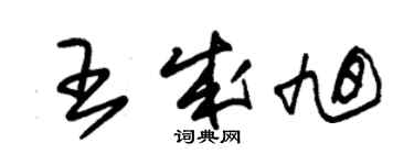 朱錫榮王成旭草書個性簽名怎么寫