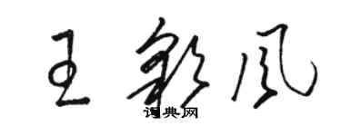 駱恆光王彩風草書個性簽名怎么寫