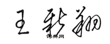 駱恆光王新翔草書個性簽名怎么寫