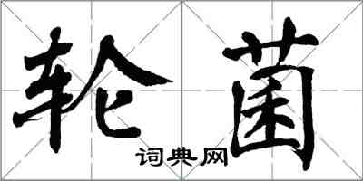 翁闓運輪菌楷書怎么寫