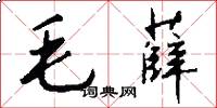 毛薛怎么寫好看