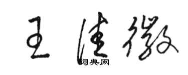 駱恆光王佳徽草書個性簽名怎么寫
