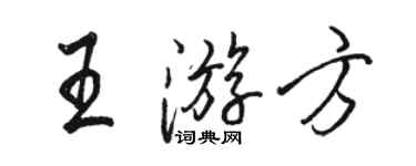 駱恆光王遊方行書個性簽名怎么寫