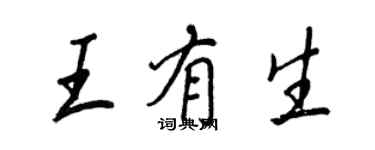 王正良王有生行書個性簽名怎么寫