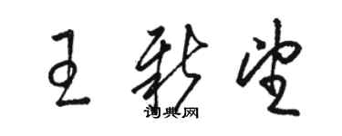 駱恆光王新望草書個性簽名怎么寫