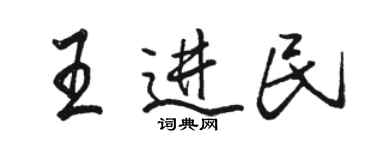 駱恆光王進民行書個性簽名怎么寫