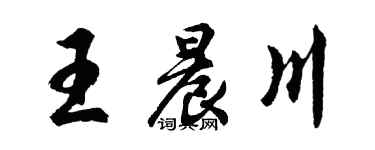 胡問遂王晨川行書個性簽名怎么寫