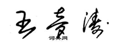 朱錫榮王夢濤草書個性簽名怎么寫