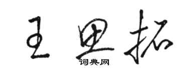 駱恆光王思拓草書個性簽名怎么寫