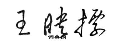 駱恆光王映標草書個性簽名怎么寫