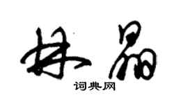 朱錫榮林晶草書個性簽名怎么寫