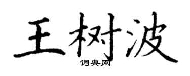 丁謙王樹波楷書個性簽名怎么寫
