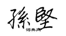 王正良孫堅行書個性簽名怎么寫