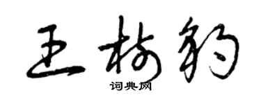 曾慶福王樹豹草書個性簽名怎么寫
