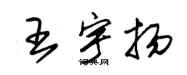 朱錫榮王宇揚草書個性簽名怎么寫