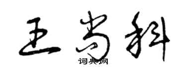 曾慶福王尚科草書個性簽名怎么寫