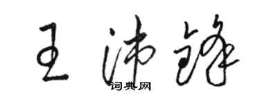 駱恆光王沛鋒草書個性簽名怎么寫