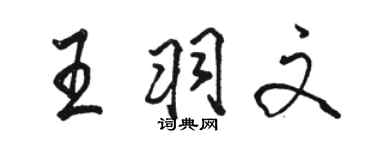 駱恆光王羽文行書個性簽名怎么寫
