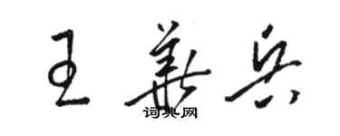 駱恆光王華兵草書個性簽名怎么寫