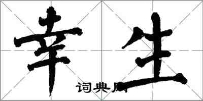 翁闓運幸生楷書怎么寫