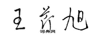 駱恆光王芹旭草書個性簽名怎么寫