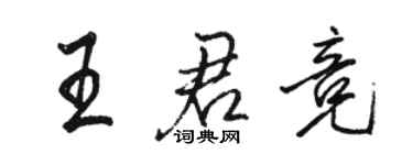 駱恆光王君競行書個性簽名怎么寫