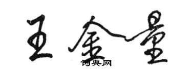 駱恆光王金量行書個性簽名怎么寫