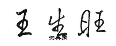 駱恆光王生旺行書個性簽名怎么寫