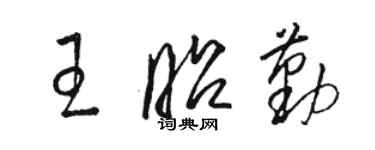 駱恆光王昭勤草書個性簽名怎么寫