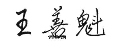 駱恆光王善魁行書個性簽名怎么寫