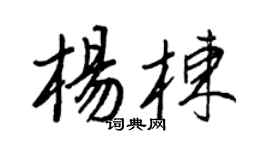 王正良楊棟行書個性簽名怎么寫