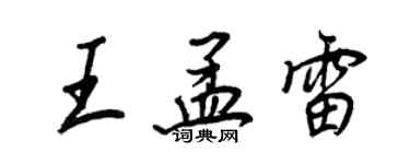 王正良王孟雷行書個性簽名怎么寫