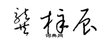 梁錦英龔梓辰草書個性簽名怎么寫