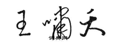 駱恆光王嘯夭草書個性簽名怎么寫