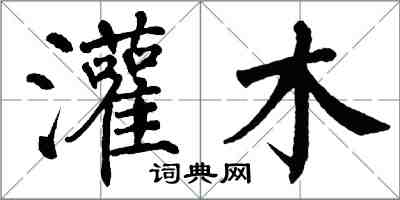 翁闓運灌木楷書怎么寫