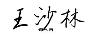 王正良王沙林行書個性簽名怎么寫