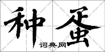 翁闓運種蛋楷書怎么寫