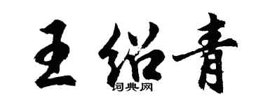 胡問遂王紹青行書個性簽名怎么寫