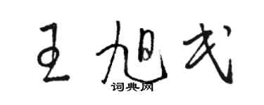 駱恆光王旭民草書個性簽名怎么寫